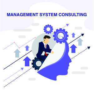 ManagementSystemConsulting